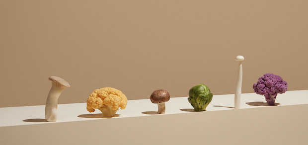 6 Anti-Inflammatory Foods to Add to Your Diet - Twill Care