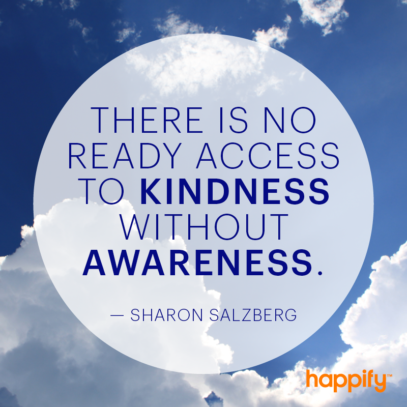 The relationship between kindness and mindfulness sharon salzberg